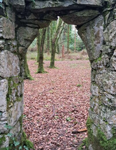 View through an old stone arch with trees in distance